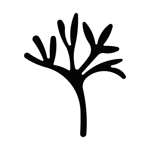 somatic education australasia